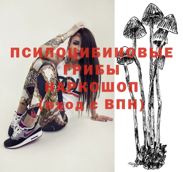 дурь Балахна