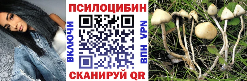 Галлюциногенные грибы Psilocybine cubensis  Ясногорск 